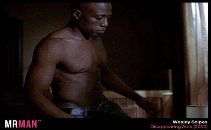 Happy Birthday to Wesley Snipes!