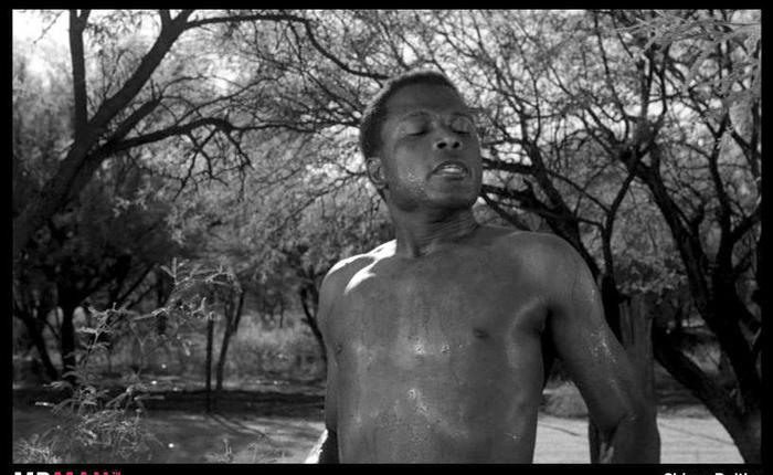 #TBT to Sidney Poitier