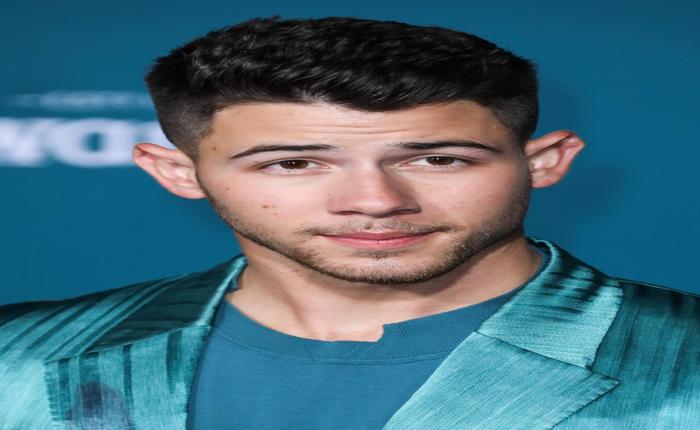 There's Some Sort Of Bulge Going On With Nick Jonas' Silk Pants