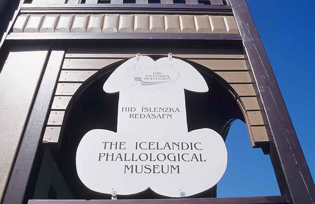 Forget the Northern Lights - Go to Iceland to Visit the Penis Museum 