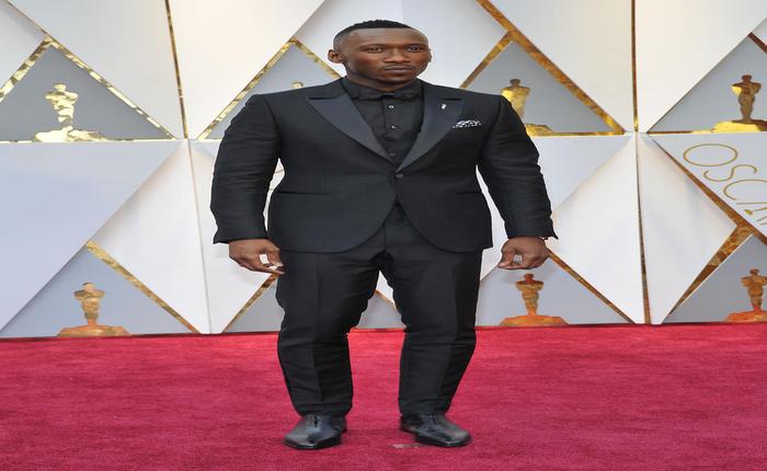 2017 Oscar Red Carpet: The 20 Actors Who Will Get You Drenched