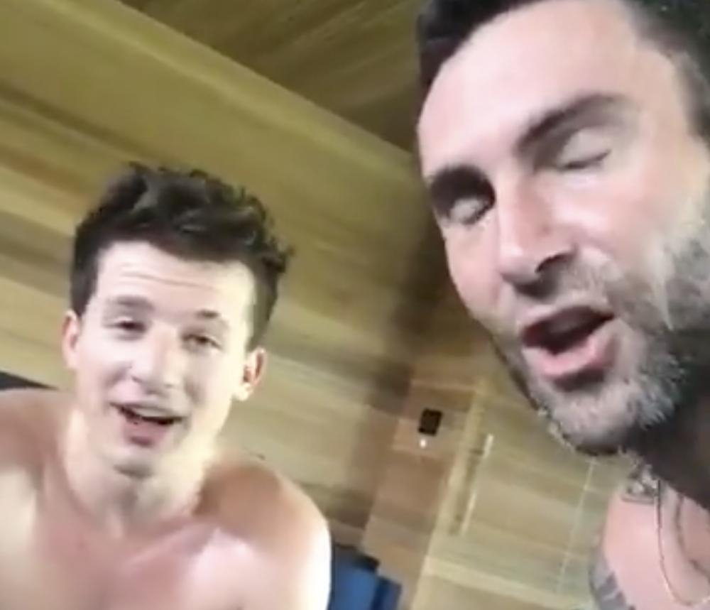 What's Going On With Adam Levine And Charlie Puth In This Video?