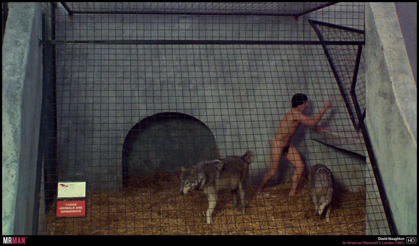 Anatomy of a Scene's Manatomy: David Naughton is Makin' It as 'An American Werewolf in London'