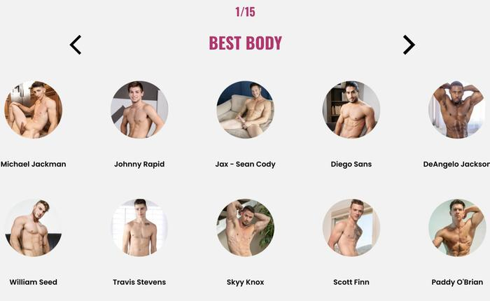 VOTE NOW For The 2020 Fleshbot Awards!