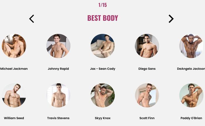 VOTE NOW For The 2020 Fleshbot Awards!