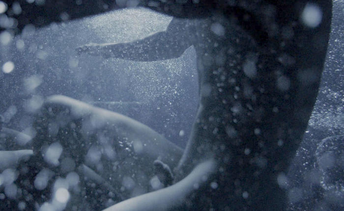 10 Sexy GIFs of Nude Dudes Skinny Dipping