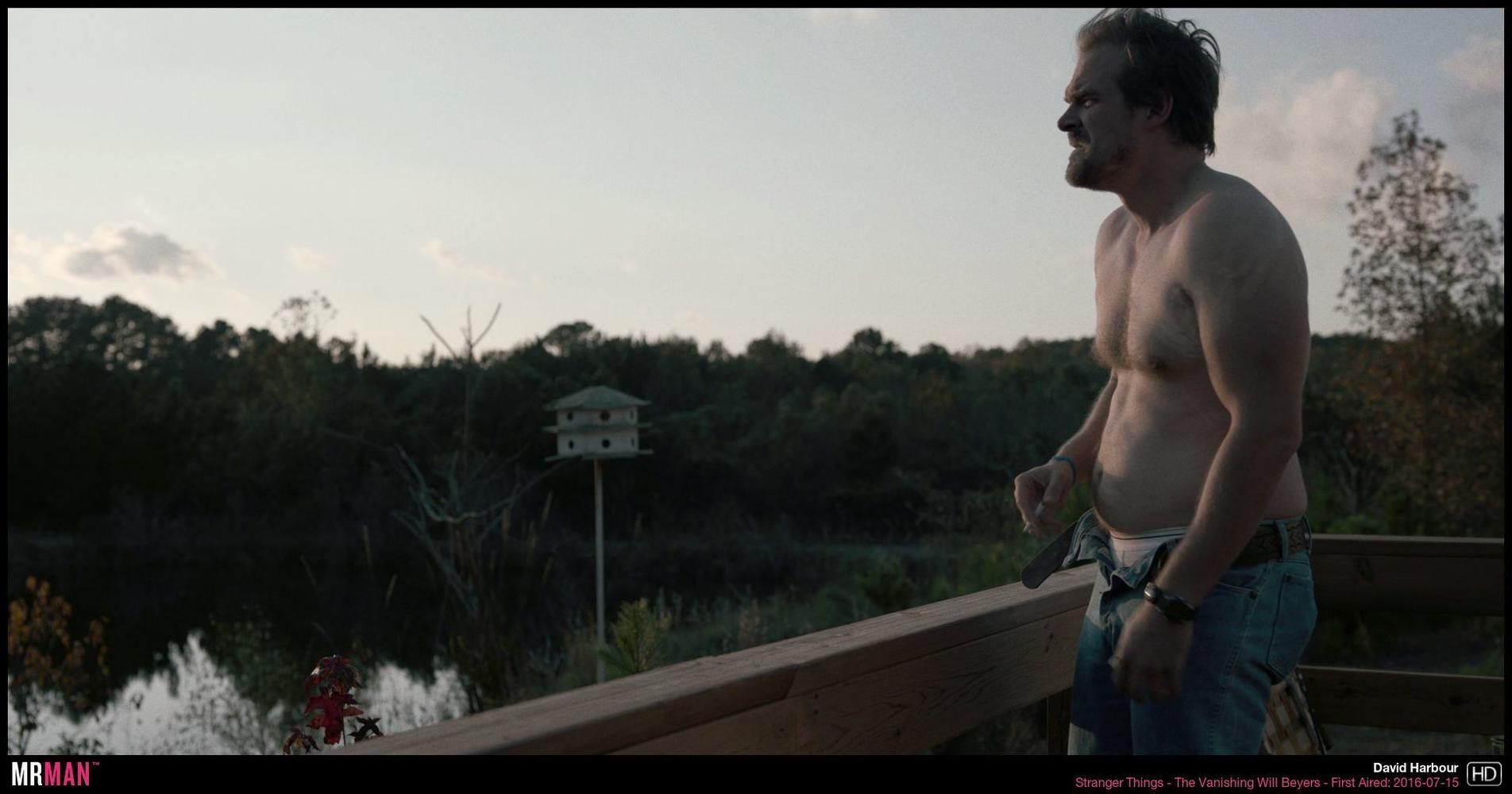 When Will David Harbour Go Nude?!