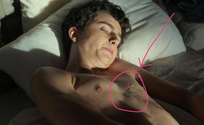 GIFs Of Timothée Chalamet Cumming In Peach And Getting Homosexual