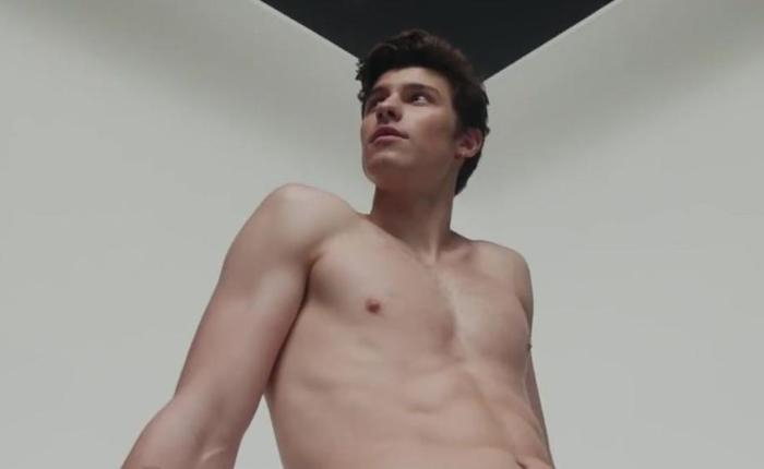 Shawn Mendes Is Shockingly Shirtless At Met Gala 2021