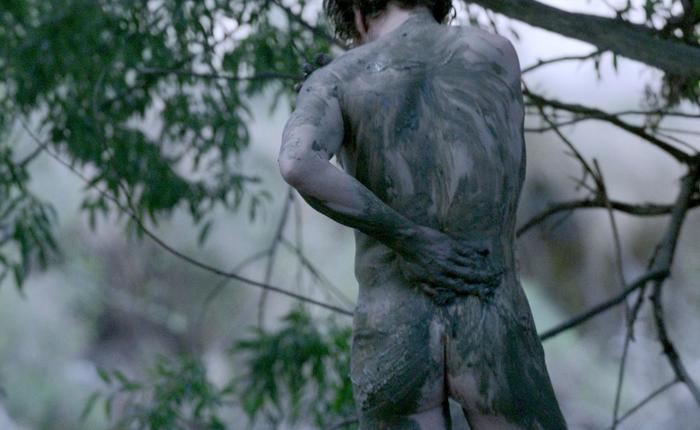 Movie Nudity Report: The Power of the Dog, Bruised, Lone Wolf 12.3.21