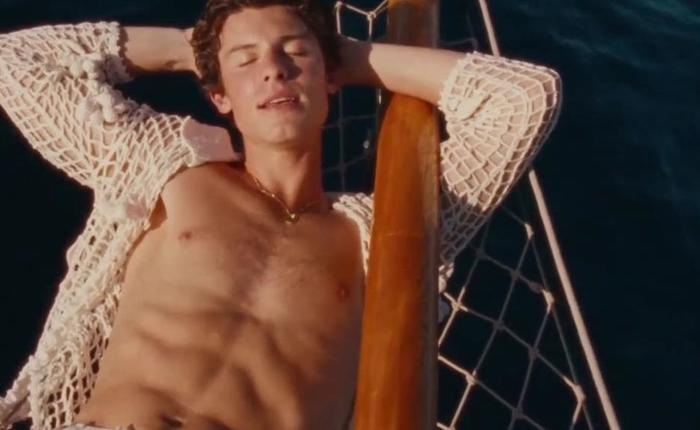 Shawn Mendes' Private Home Video Released Online