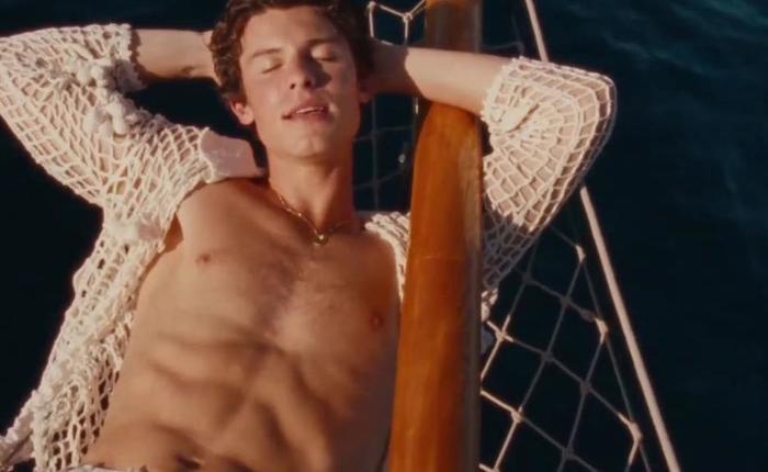 Shawn Mendes' Private Home Video Released Online