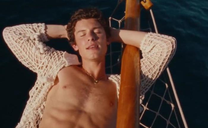 The 2022 Moment You Missed: Shawn Mendes' Wet Ass In A River