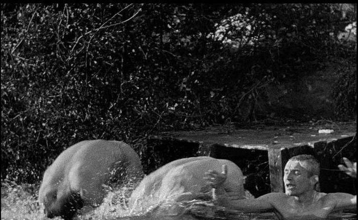 COMING TO DVD & BLU-RAY: All Quiet On The Western Front and Stone Cold 5.9.23