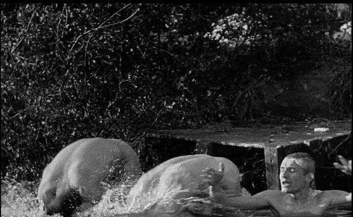 COMING TO DVD & BLU-RAY: All Quiet On The Western Front and Stone Cold 5.9.23