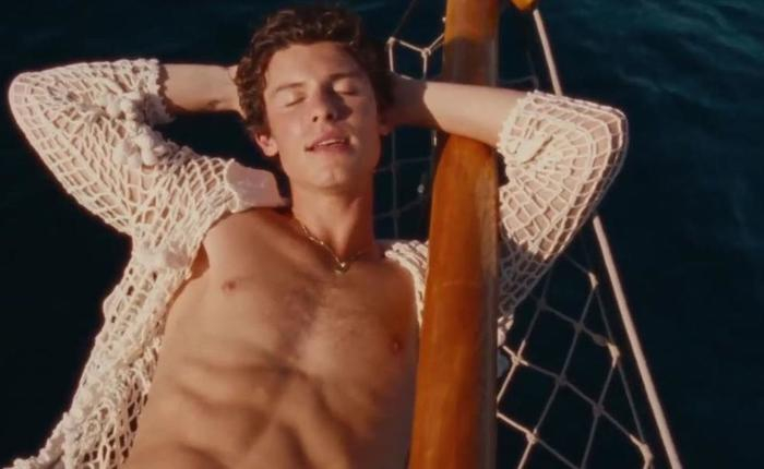 Shawn Mendes Penis Bulge In New Incredible Paparazzi Pics