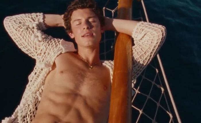 New Shawn Mendes Shirtless Beach Pics Have A Surprise
