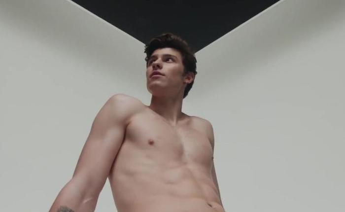 New Shawn Mendez Bulge Pics: No, That's Not A Grapefruit In His Underwear