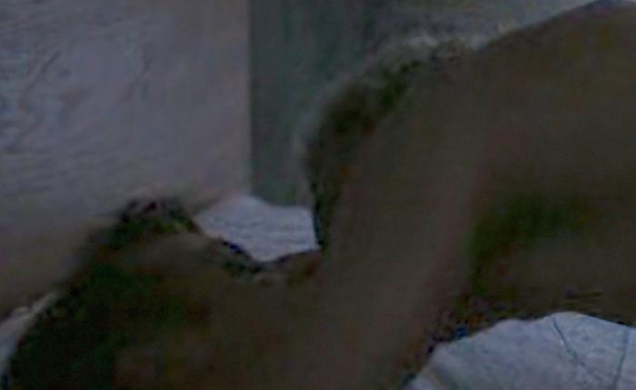 TV Nudity Report: Nudity and Gay Sex from Poland and More 7.27.26