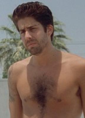 Adam Goldberg Balls Bulge 39849
