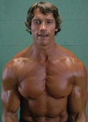 Arnold Schwarzenegger Nude Photos 29157