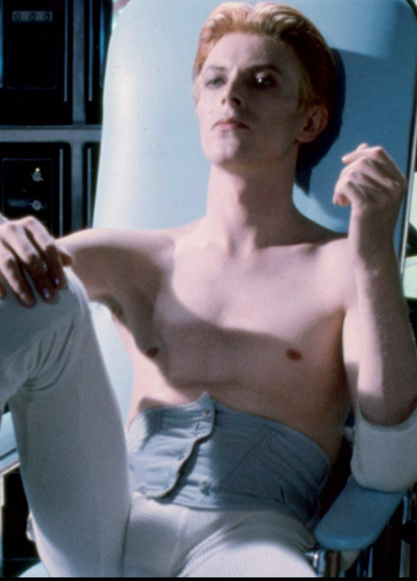 David Bowie Nude 29748