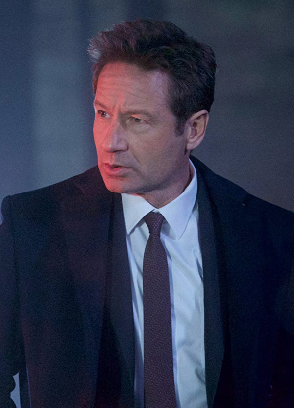 David Duchovny Nude Photos 29757
