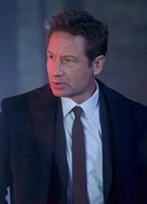 David Duchovny Balls Bathing Suit 29757
