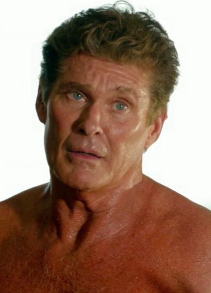 David Hasselhoff Naked 37818