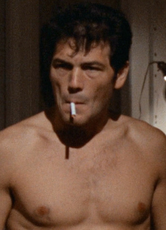 Robert Forster Nude Scenes 38859