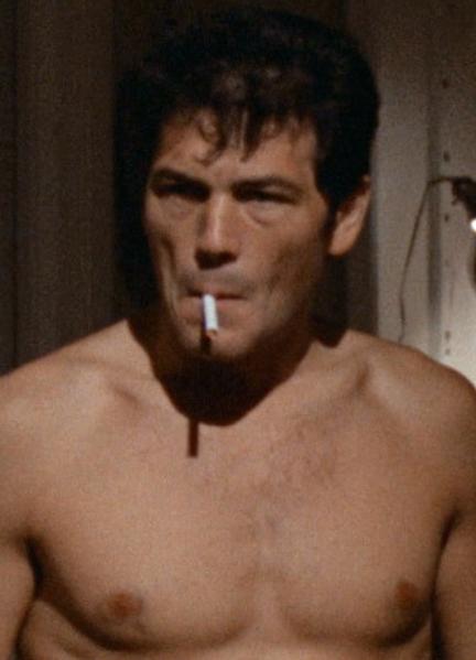 Robert Forster Nude Scenes 38859