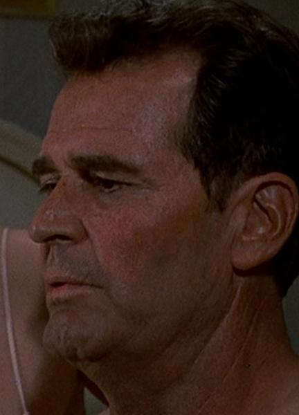 James Garner Naked 60770