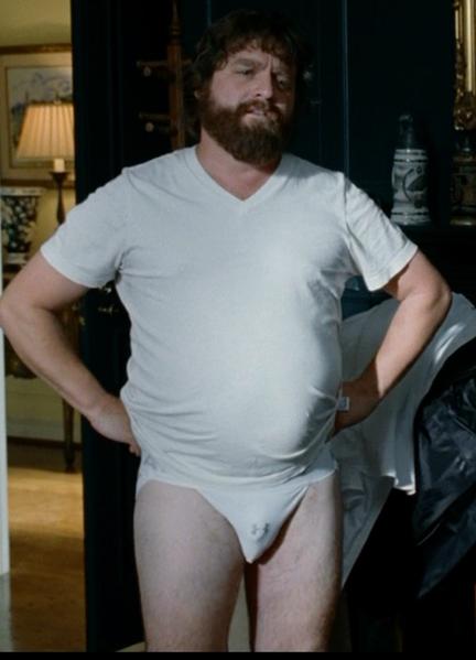 Zach Galifianakis Nude 38016