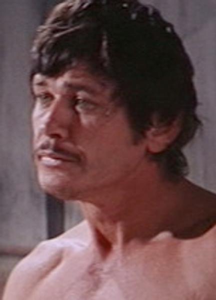 Sexy Charles Bronson 44424