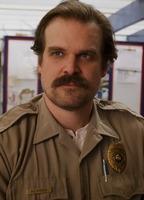 David Harbour Balls Bathing Suit 67715