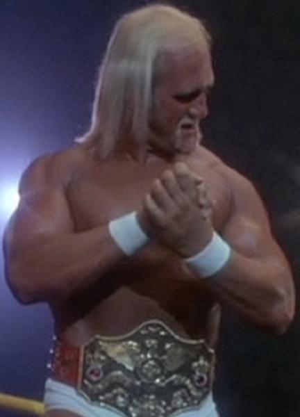 Sexy Hulk Hogan 39072