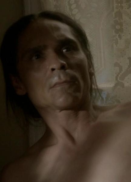 Zahn McClarnon Naked 46122