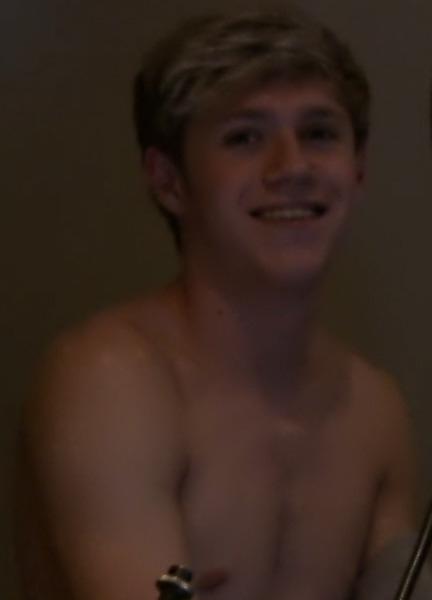 Niall Horan Naked 35490