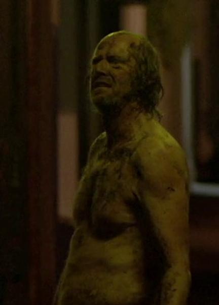 Ned Dennehy Nude 47340