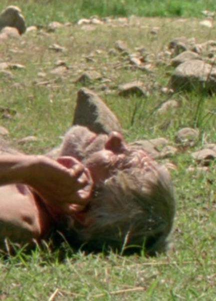 Sexiest Chico Chapas Scenes 50331