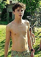 Timothée Chalamet Butt Gay 35166