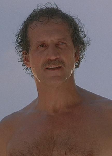 Sexy Daniel J. Travanti 57932