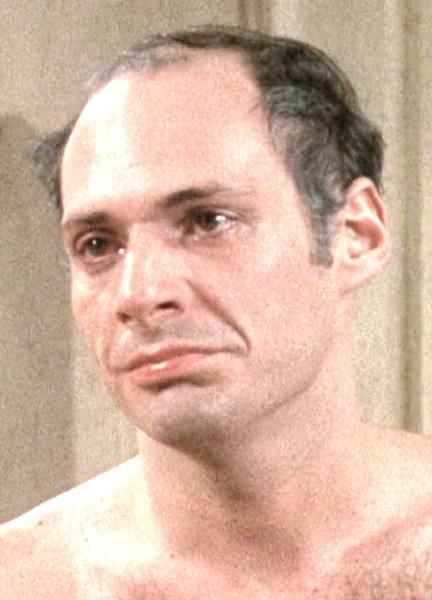 Ron Leibman Naked 67334