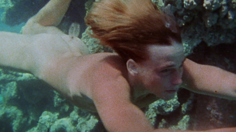 Nudes of David from Paradise. Butt, nature, nude. 11550