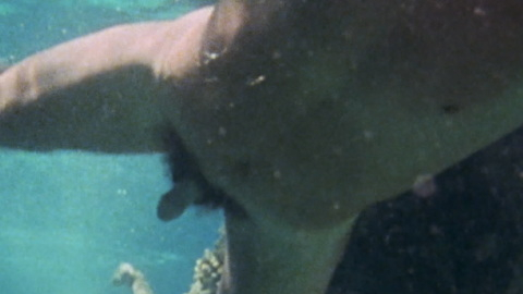 Willie Aames Nude as David. Penis, Shirtless, female nudity, nature. 194540