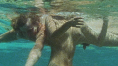 Willie Aames Naked as David. Balls, Penis, female nudity, nature. 194541