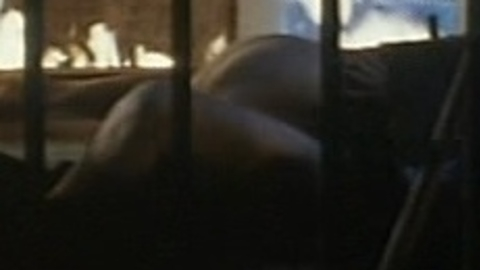 Kevin Bacon Naked as Ari. Butt, Straight. 4809
