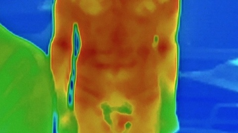 Kevin Bacon Naked in Hollow Man. Penis, Balls, Shirtless. 10117