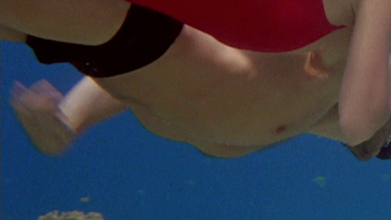 Sexiest Terry Brogan Scenes. Shirtless, Bulge, Straight, Bathing Suit. 7582