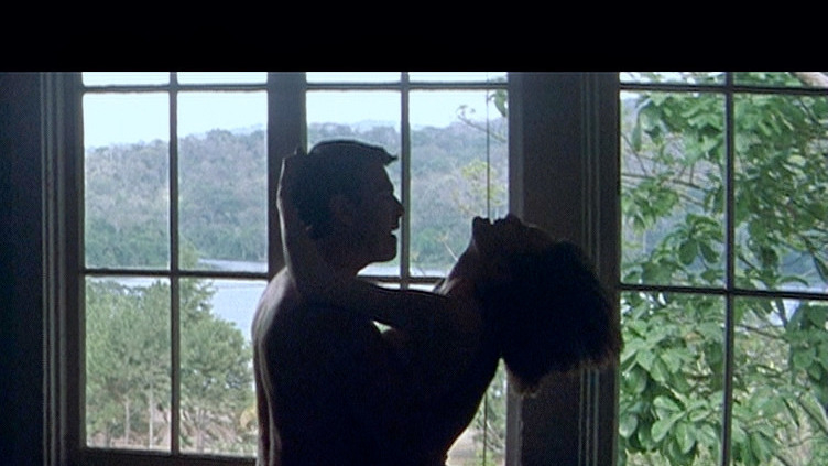 Pierce Brosnan Naked in The Tailor of Panama. Shirtless, Butt, Straight. 1147